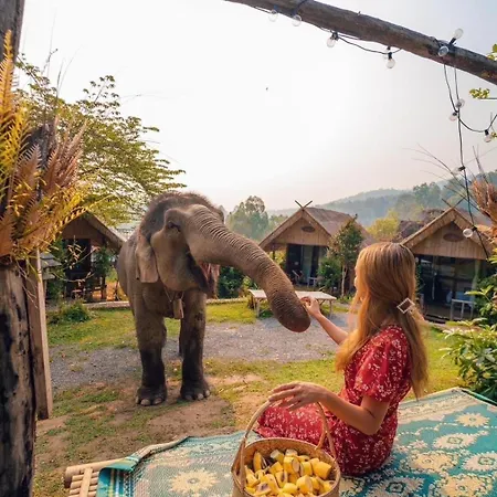 3 Pok Maewang Jinxiang Gold Elephant Park Mae Wang Exterior photo