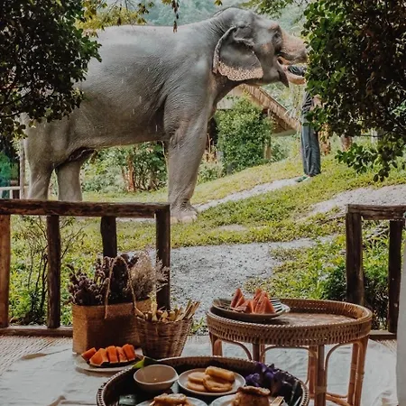 3 Pok Maewang Jinxiang Gold Elephant Park Mae Wang Exterior photo