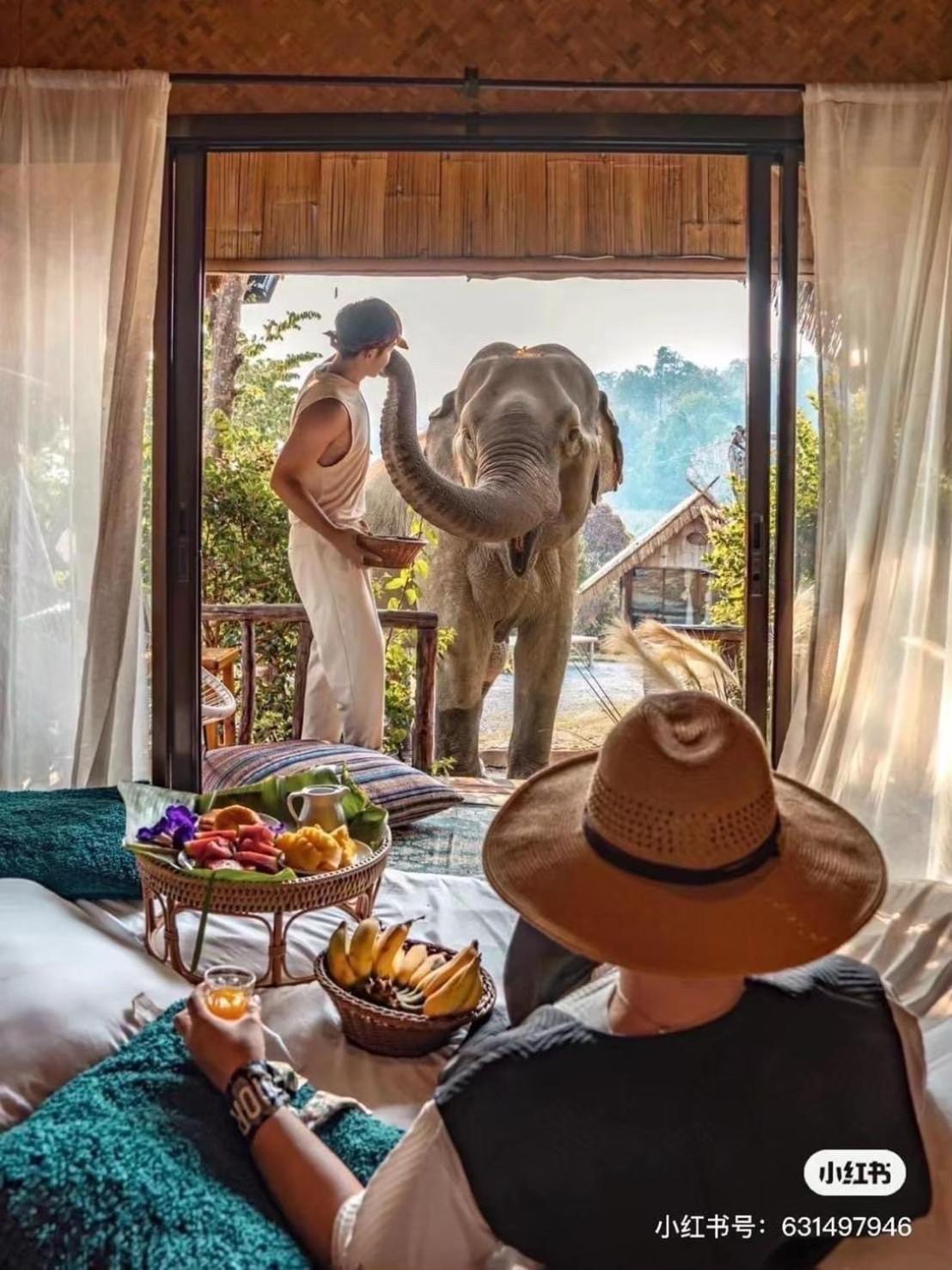 3 Pok Maewang Jinxiang Gold Elephant Park Habitación en casa particular *