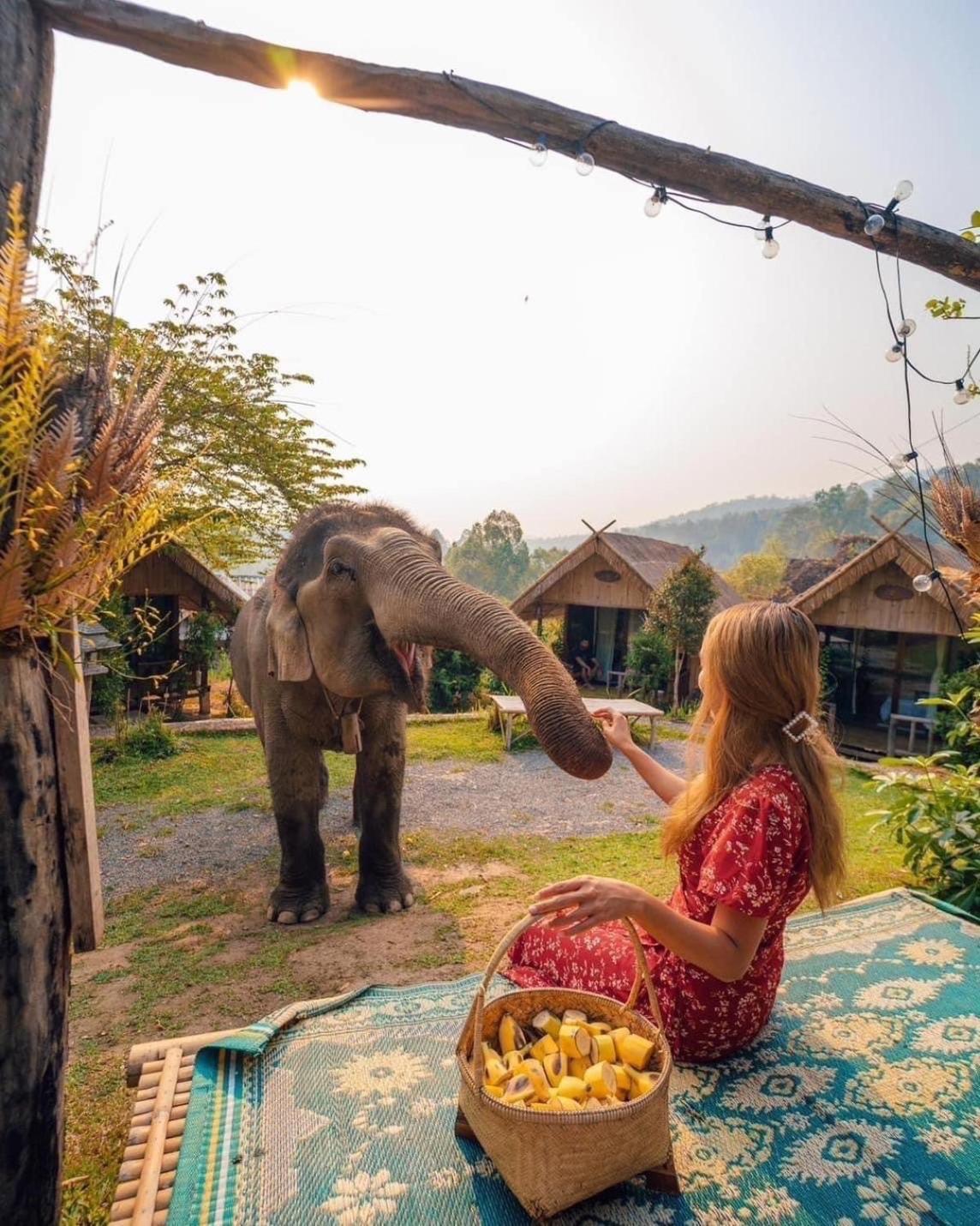 Habitación en casa particular 3 Pok Maewang Jinxiang Gold Elephant Park Mae Wang